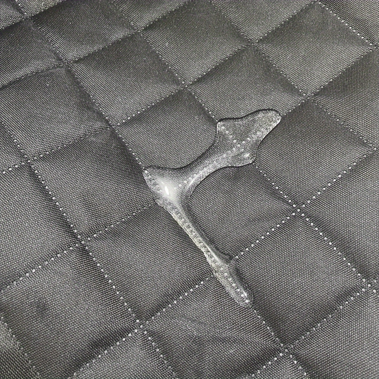 BackSeat Beast Cover